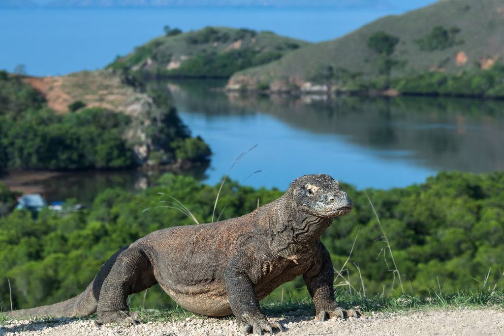 Desain tanpa judul (53)