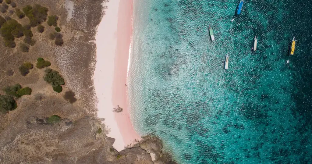 Pink Beach Komodo private tour for couples